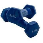 Viniliniai hanteliai KP-031 2x0.5kg