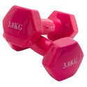 Viniliniai hanteliai KP-034 2x3kg