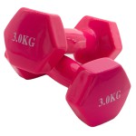 Viniliniai hanteliai KP-034 2x3kg