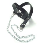 Kaklo treniruoklis SANRO odinis