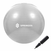 Gimnastikos kamuolys SPRINGOS 75cm Pilkas..