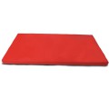 Nesulankstomas gimnastikos čiužinys SANRO 200x120x10 cm raudonas