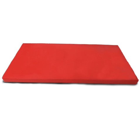 Nesulankstomas gimnastikos čiužinys SANRO 200x120x10 cm raudonas