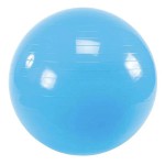 Gimnastikos kamuolys SANRO 65cm Žydras su pompa