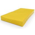 Gimnastikos čiužinys SANRO 100x50x10 cm geltonas