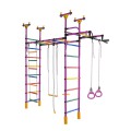Dvigubas sporto kompleksas (gimnastikos sienelė) DRAMBLIUKAS violetinė-vaivorykštė, 235-293x52,5cm