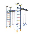 Dvigubas sporto kompleksas (gimnastikos sienelė) DRAMBLIUKAS mėlyna-vaivorykštė, 235-293x52,5cm