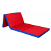 Sulankstomas gimnastikos čiužinys SANRO 200x100x4 cm raudonai-mėlynas