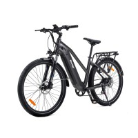 Elektrinis dviratis Beaster BS114G, 250 W, pilkas
