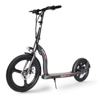 Elektrinis paspirtukas Beaster Scooter VOYAGER, 350 W, 36 V, 10 Ah, tamsiai pilkas