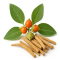 Ashwagandha (Ašvaganda)