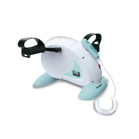 DVIRATIS TRENIRUOKLIS EVERFIT MINI WELLY-E PLUS