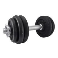 KEIČIAMO SVORIO HANTELIS RUCANOR 2,5-10KG