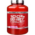 Scitec 100% Whey Professional 920g-2350g