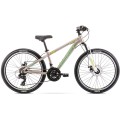 Dviratis Romet Rambler Dirt 24“ Alu 2023 grey-green