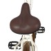 Dviratis AZIMUT City Lux 28" 2023 cream-brown