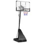 Mobilus krepšinio stovas Bilaro Denver 110x70cm, 1..