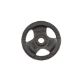 Svoris grifui TOORX DGN-TG D50mm 15kg