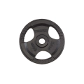 Svoris grifui TOORX DGN-TG D50mm 20kg