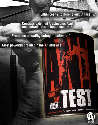 Animal Test