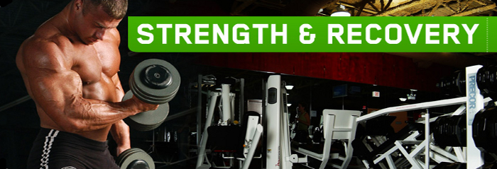 optimum bcaa